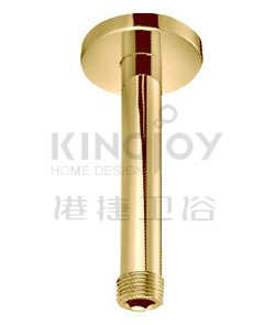 (KJ8077603A) Ceiling shower arm