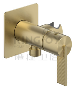 (KJ869Y050 锆金拉丝) Single lever bidet mixer with outlet and holder