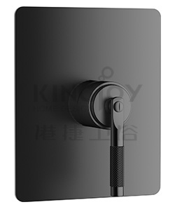 (KJ826Y001) Single lever concealed shower mixer without diverter