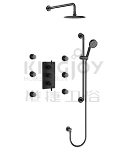 (KJ8268430(1)) Thermostatic concealed shower mixer
