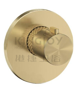(KJ8074160) Thermostatic concealed valve
