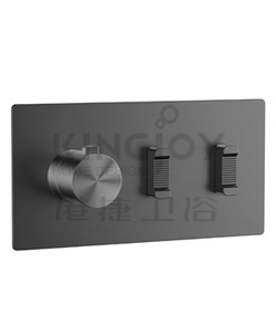 (KJ8674101) Thermostatic shower mixer with 2 slide handle
