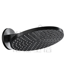 (KJ8697710) Wall shower arm with rainshower