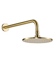 Wall shower arm with rainshower